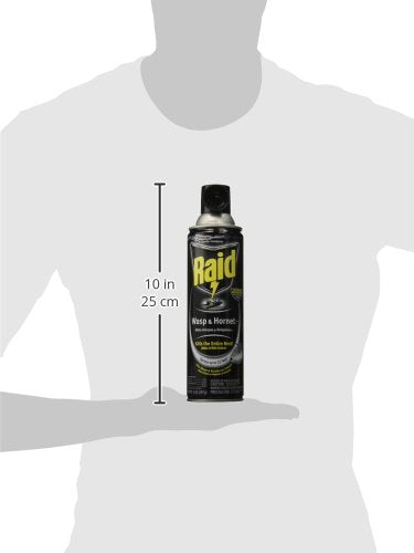 Raid Wasp and Hornet Killer Spray, 14 oz(pack of 3)