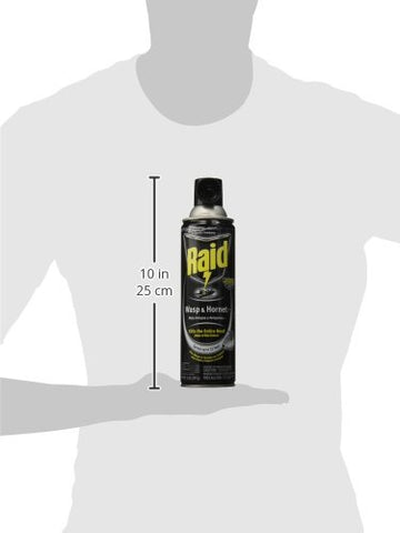 Raid Wasp and Hornet Killer Spray, 14 oz(pack of 3)