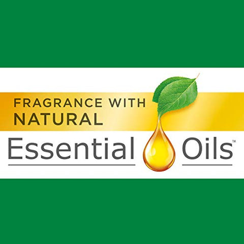 Air Wick Pure Freshmatic Refill Automatic Spray, Lavender & Chamomile, 1ct, Air Freshener, Essential Oil, Odor Neutralization, Packaging May Vary, Clear, 5.89 Ounce (6233877961)