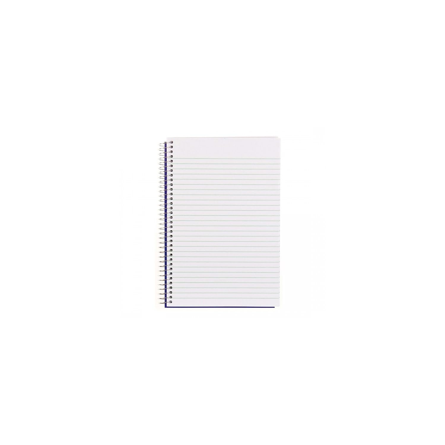 Blueline Steno Pad/Note Pad, Spiral Binding with Flexible Blue Cover, 9 x 6 x 0.813 Inches, 360 Pages (AT35B)