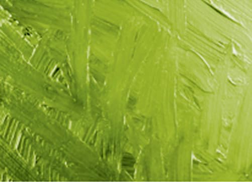 Grumbacher Academy Oil Paint, 37ml/1.25 Ounce, Thalo Yellow Green (T210)