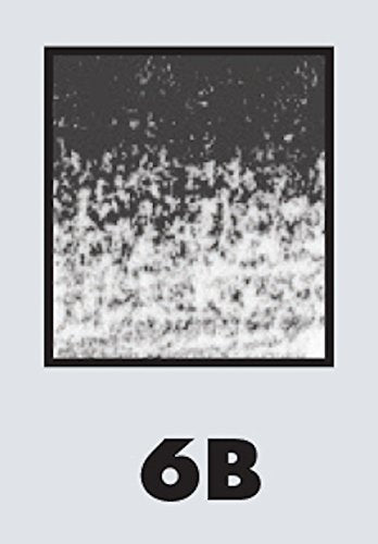 Koh-I-Noor Toison d'Or Graphite Pencil, 6B Degree, 2 Pack (FA1900.6BBC)