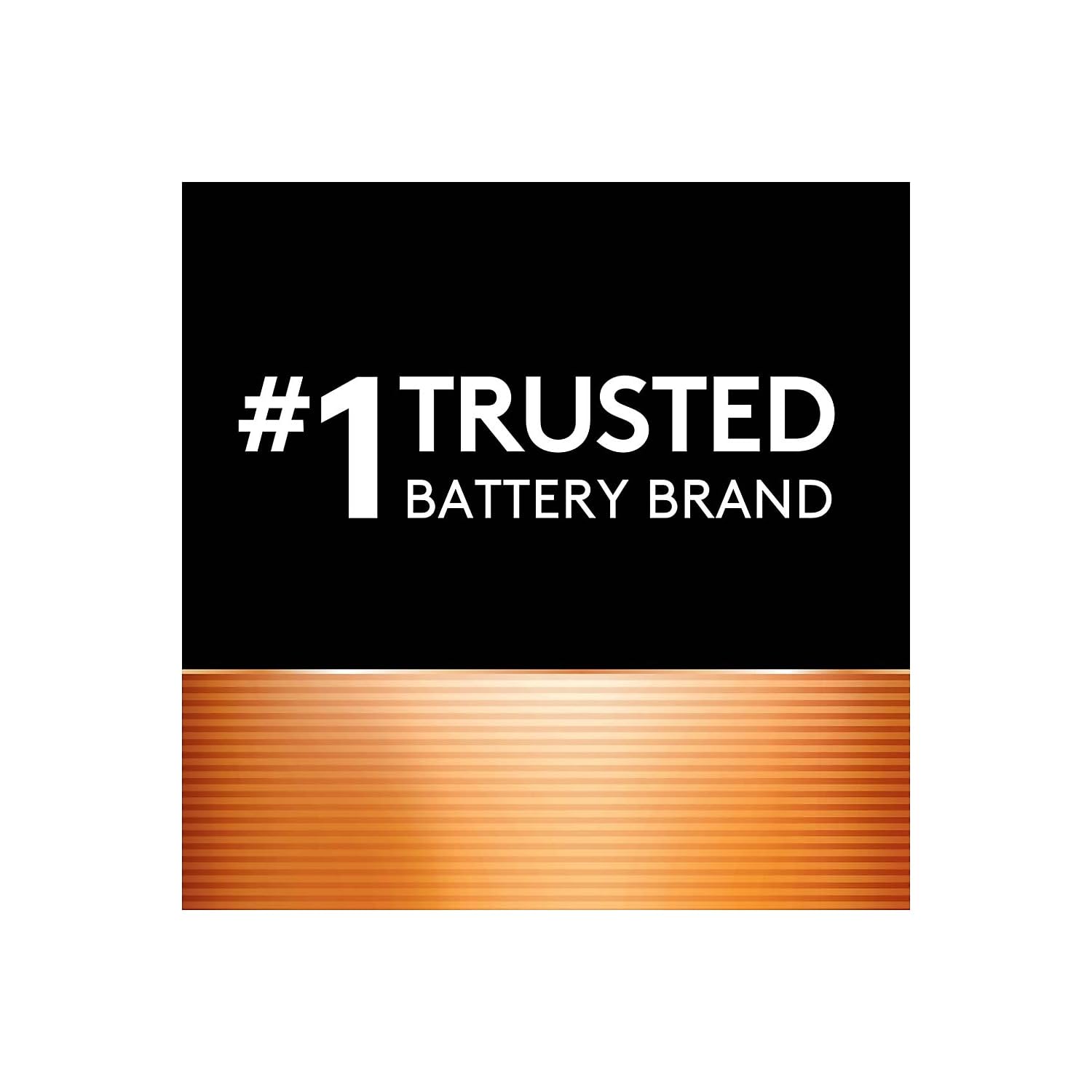 Duracell Coppertop 9V Battery, 2 Count (Pack of 1), Long-lasting All-Purpose Alkaline 9V Batteries for Household and Office Devices