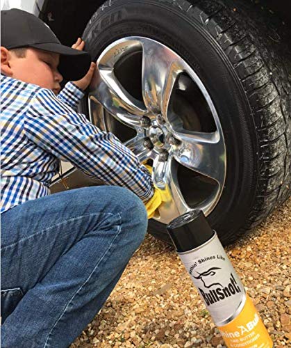 BullSnot! ShineABull Instant Tire Butter & Trim Gloss Spray Silicone-Free, UV Protection, Restores Shine & Moisture to Tires, Bumpers, Seals & More Fast, Easy Application Made in the USA