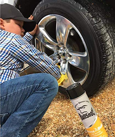 BullSnot! ShineABull Instant Tire Butter & Trim Gloss Spray Silicone-Free, UV Protection, Restores Shine & Moisture to Tires, Bumpers, Seals & More Fast, Easy Application Made in the USA