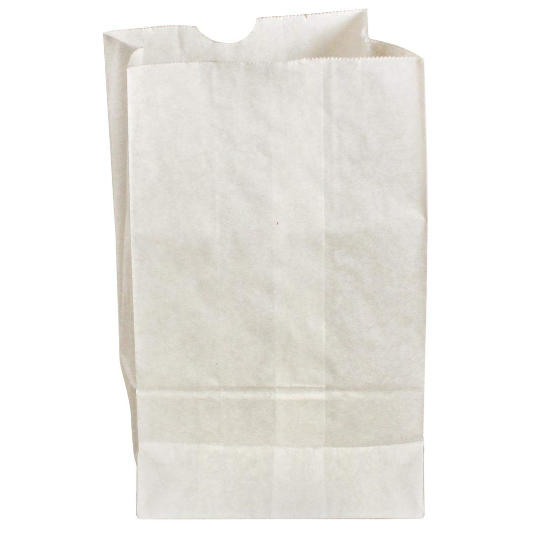 Creativity Street Kraft Bags P0072020, White, 6" x 3-5/8" x 11", 100 Bags