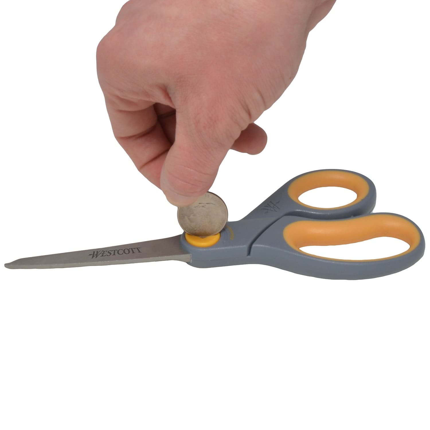 8" Titanium Scissors