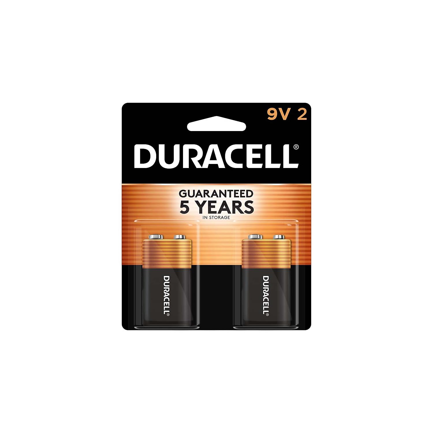 Duracell Coppertop 9V Battery, 2 Count (Pack of 1), Long-lasting All-Purpose Alkaline 9V Batteries for Household and Office Devices