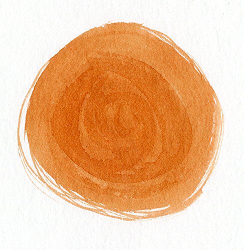Higgins Dye-Based Drawing Ink, Red Orange, 1 Ounce Bottle (44207)