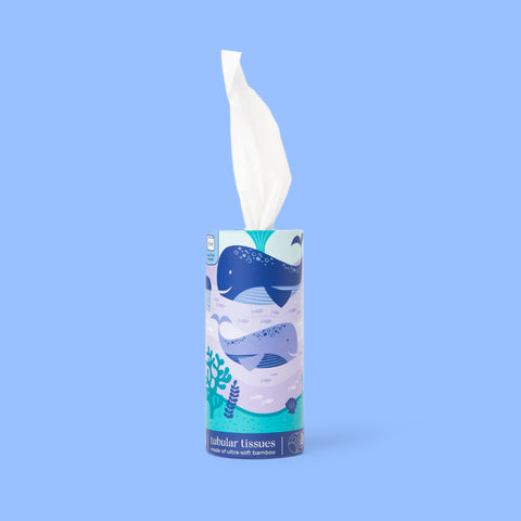 Bim Bam Boo 100% Bamboo Facial Tissue Tube, 3-ply Hypoallergenic Travel Tissues in Car Tissue Holder, 1 Eco-Friendly Cylinder Tissue Tube