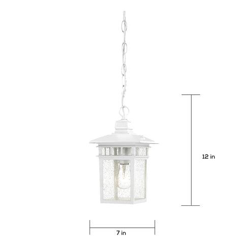 Nuvo Lighting 60/4954 Traditional One Light Hanging Lantern from Cove Neck collection in White finish