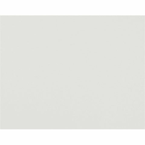 Pacon® Peacock® Railroad Board, 22" x 28", 4-Ply, White, Carton of 100 Sheets