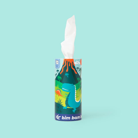 Bim Bam Boo 100% Bamboo Facial Tissue Tube, 3-ply Hypoallergenic Travel Tissues in Car Tissue Holder, 1 Eco-Friendly Cylinder Tissue Tube