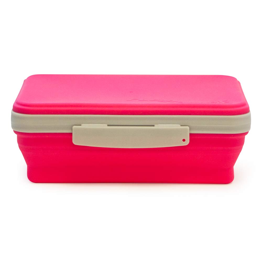 It's Academic Flexi Storage Box with Lid, Collapsible Pencil Case Design for Craft and School Supplies, Pink/Gray