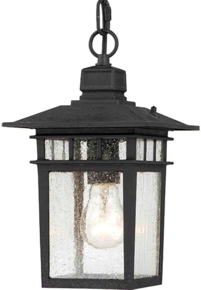 Nuvo Lighting 60/4956 Traditional One Light Hanging Lantern from Cove Neck collection in Black finish