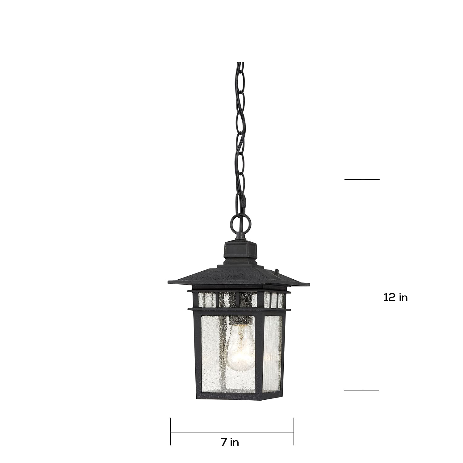 Nuvo Lighting 60/4956 Traditional One Light Hanging Lantern from Cove Neck collection in Black finish
