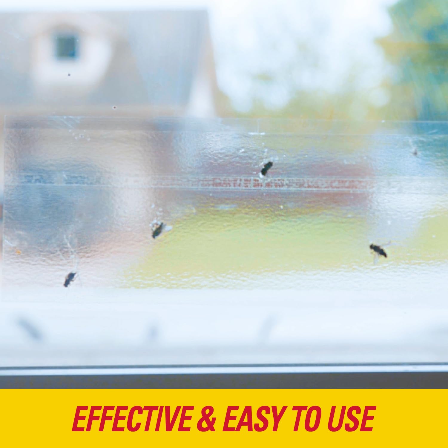 PIC Window Fly Traps (1),FTRP