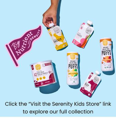 Serenity Kids 6+ Months Dairy-Free Smoothie Baby Food | USDA Organic | Grass Fed Collagen Protein | 3.5 Ounce BPA-Free Pouch | Pumpkin Spice | 1 Count