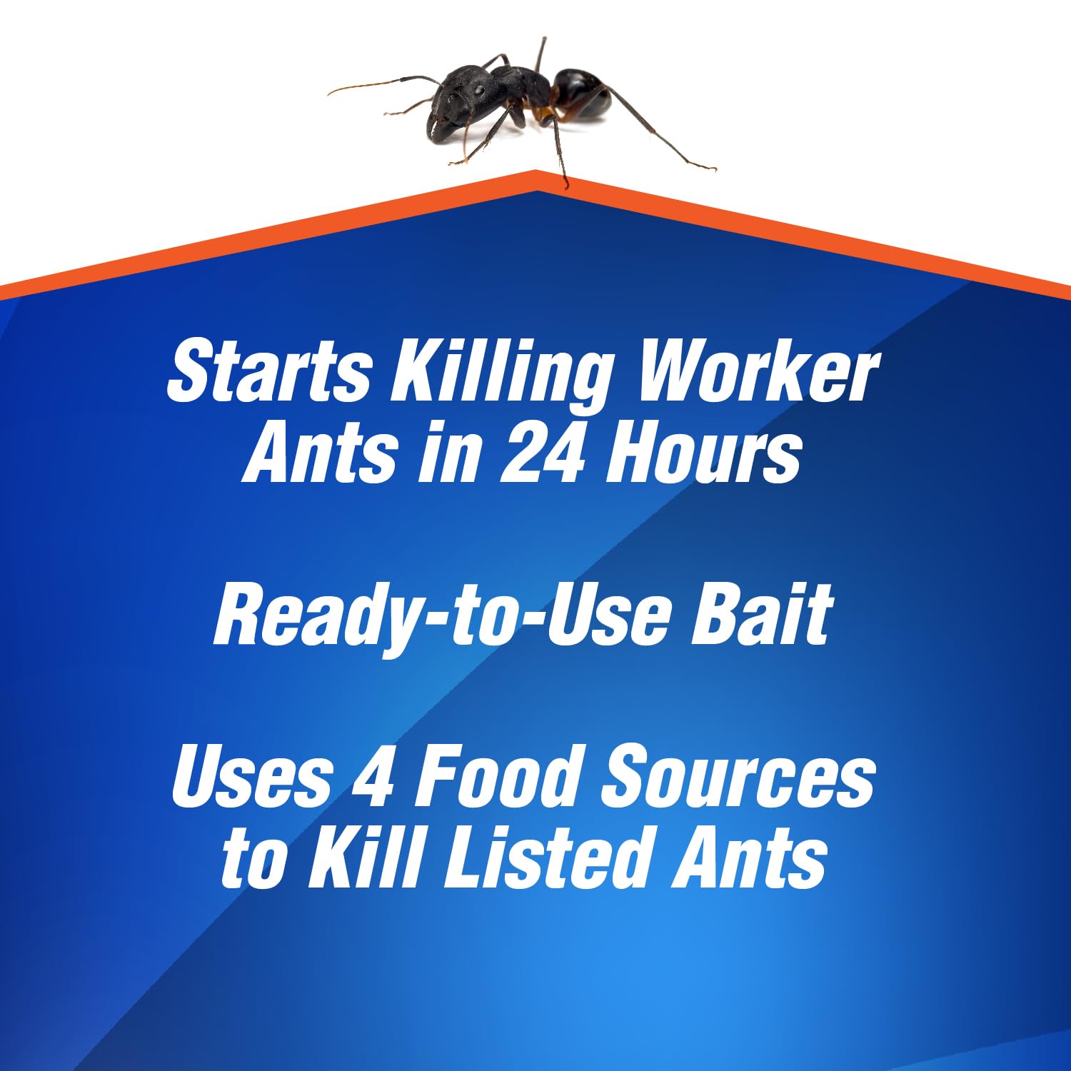 Home Plus Ant Killer Plastic Bait Stations, 4 Count