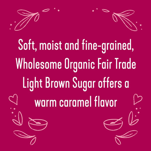Wholesome Sweeteners 24-Ounce Organic Light Brown Sugar, Fair Trade, Non GMO, Gluten Free & Vegan, Sugar for Baking and Glazing, 1 Pack