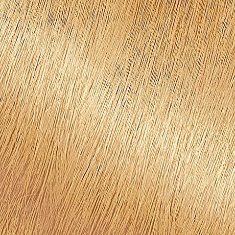 Garnier Nutrisse Nourishing Hair Color Creme, 93 Light Golden Blonde (Honey Butter) (Packaging May Vary)