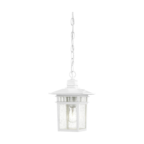 Nuvo Lighting 60/4954 Traditional One Light Hanging Lantern from Cove Neck collection in White finish