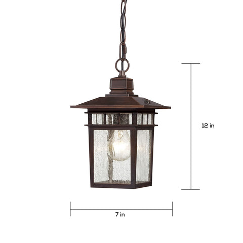Nuvo Lighting 60/4955 Traditional One Light Hanging Lantern from Cove Neck collection in Bronze/Dark finish