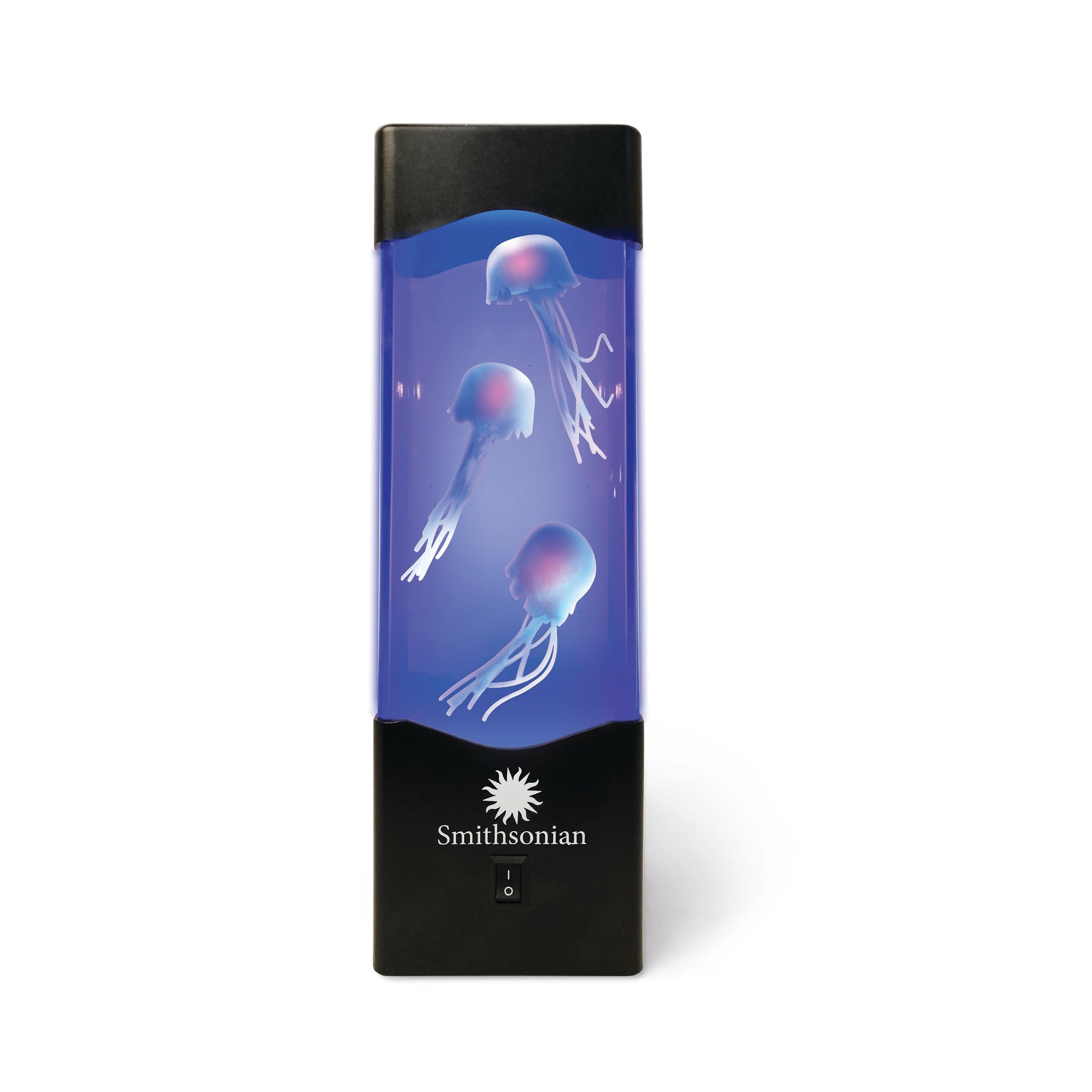 Jellyfish Aquarium