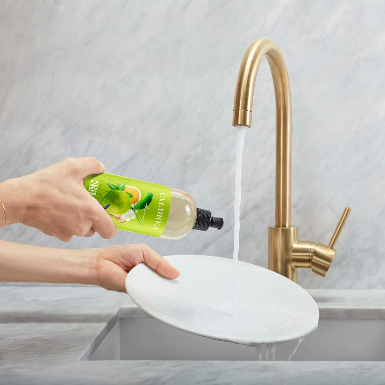 Caldrea Dish Soap, Biodegradable Dishwashing Liquid made with Soap Bark and Aloe Vera, Ginger Pomelo Scent, 16 oz