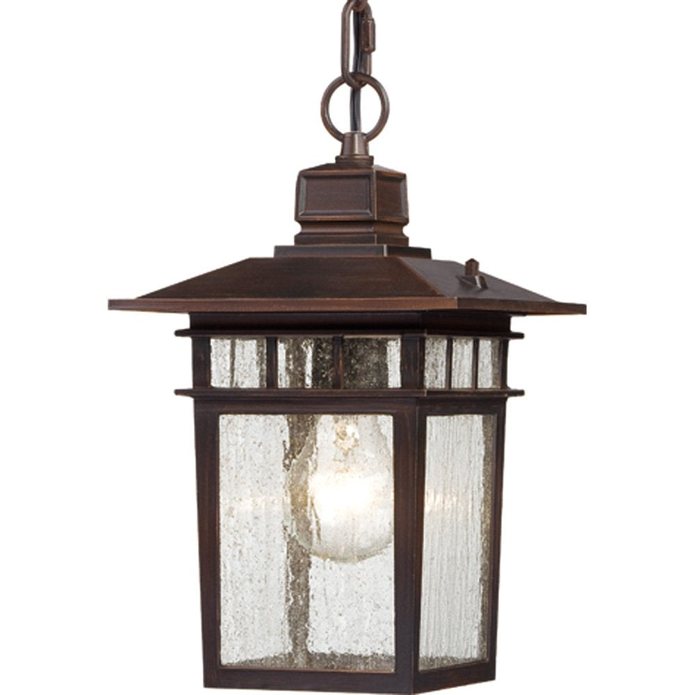 Nuvo Lighting 60/4955 Traditional One Light Hanging Lantern from Cove Neck collection in Bronze/Dark finish