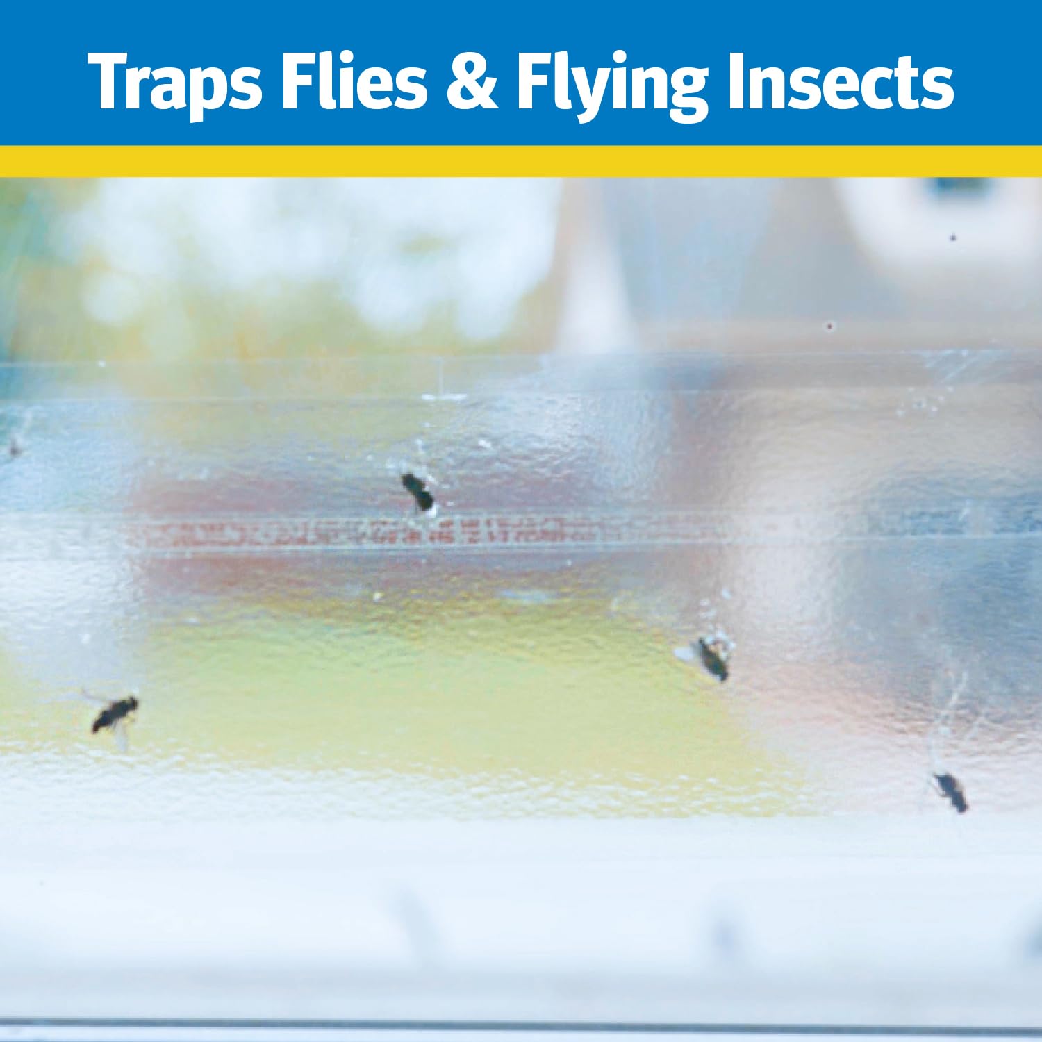 Raid Window Fly Trap, 4ct (Pack of 1)
