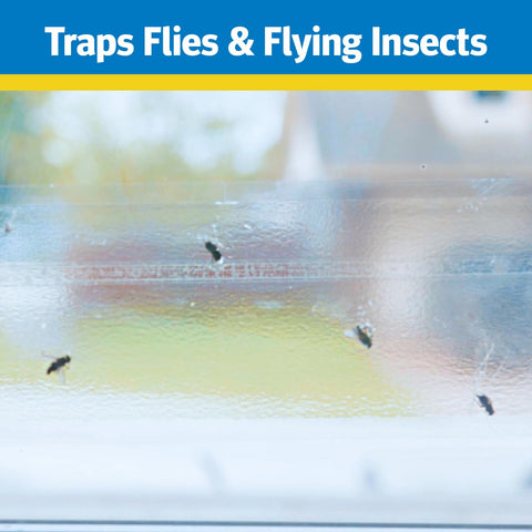 Raid Window Fly Trap, 4ct (Pack of 1)