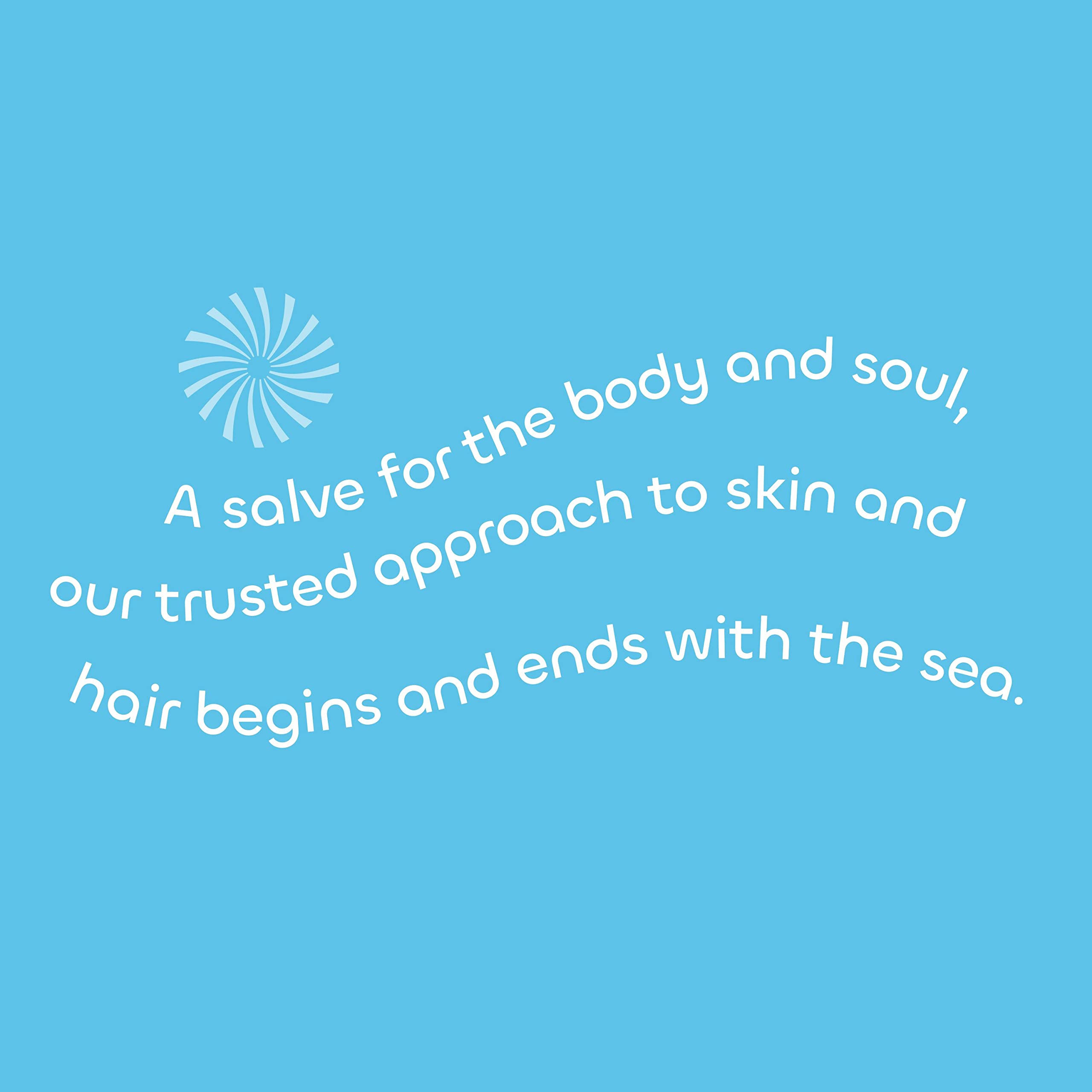 Seaweed Bath Co. Gentle Conditioner, Unscented, 12 Ounce, Sustainably Harvested Seaweed, Aloe, Argan Oil, for Sensitive Scalps
