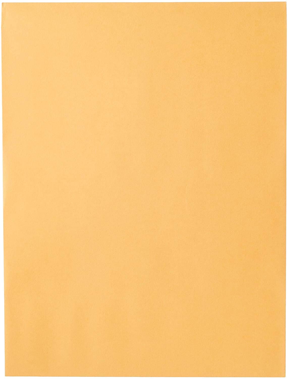Mead Envelopes, 10" x 13", Clasp Closure, Brown Kraft All-Purpose 24-lb Paper Mailing Envelopes, 15 Count (76022)