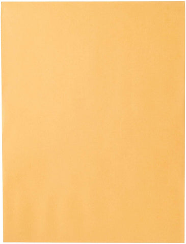 Mead Envelopes, 9" x 12", Clasp Closure, Brown Kraft All-Purpose 24-lb Paper Mailing Envelopes, 20 Count (76020)