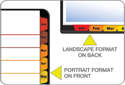 Cardinal OneStep Binder Dividers, 12-Tab Monthly, Customizable Table of Contents, Reversible Multicolor Tabs, 1 Set (60318CB)