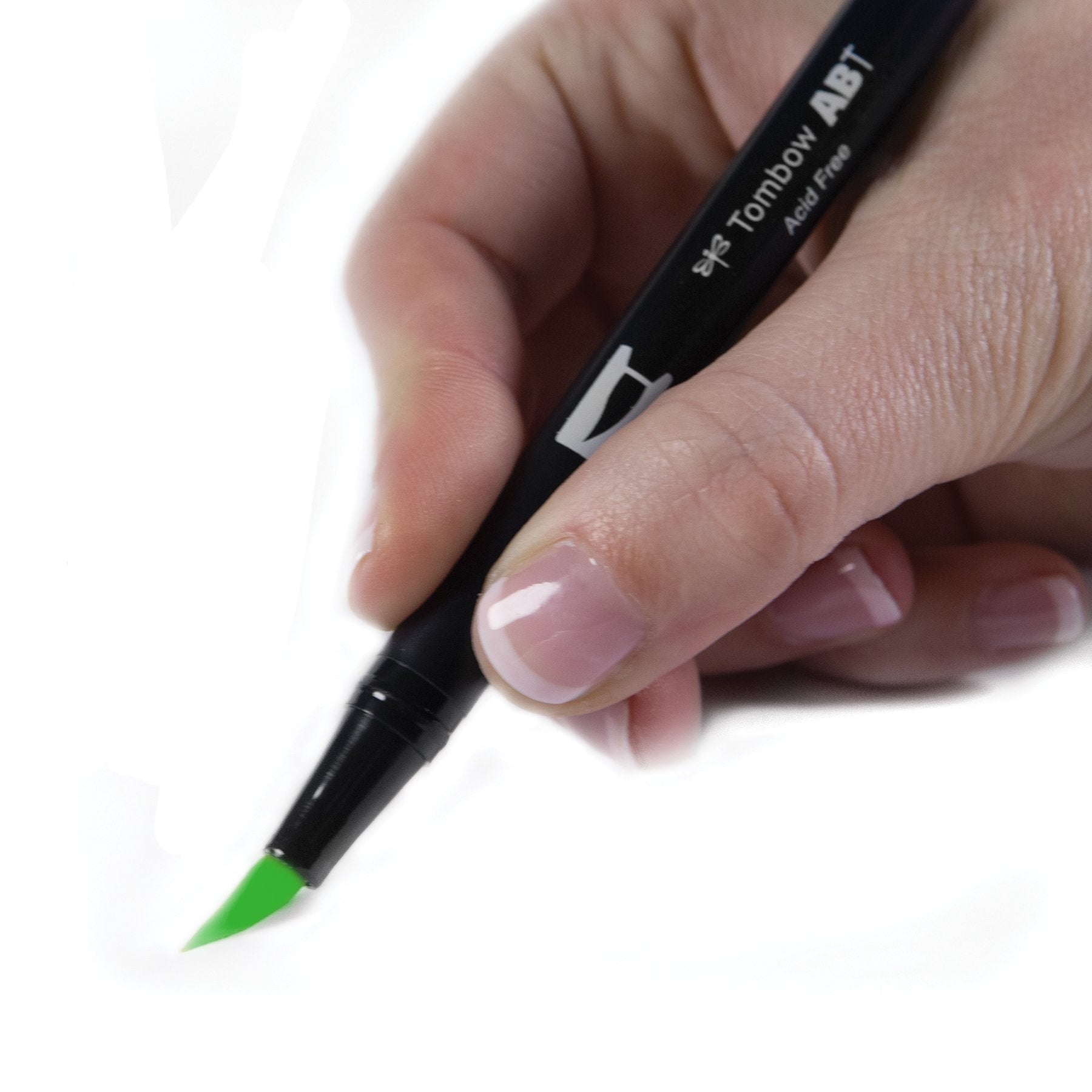 Tombow Dual Brush Pen Art Marker, 195 - Light Green, 1-Pack