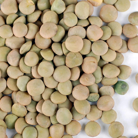 Organic Dried Green Lentil Sprouting Seed: 8 Oz - Dry Lentils for Planting Garden Seeds, Soup, Cooking or Sprout Salad, Sprouts
