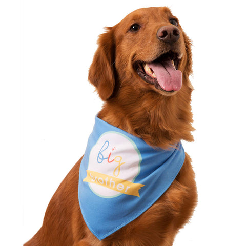 C.R. Gibson Blue ''Big Brother'' Dog and Baby Beanie and Bandanna 2 Piece Set, Beanie, 0-6 Months