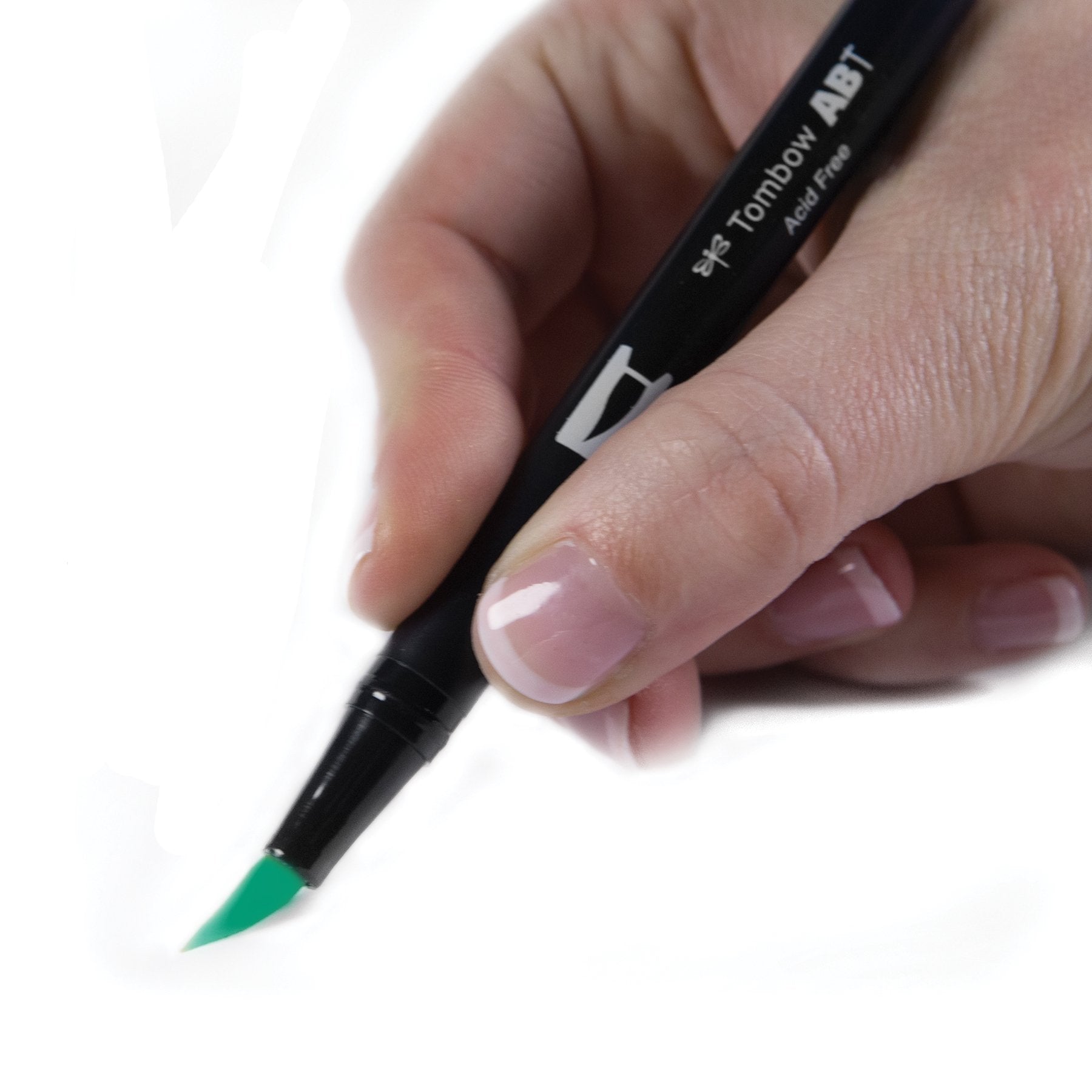 Tombow 56534 Dual Brush Pen Art Marker, 296 - Green, 1 Pack. Blendable, Brush & Fine Tip Marker