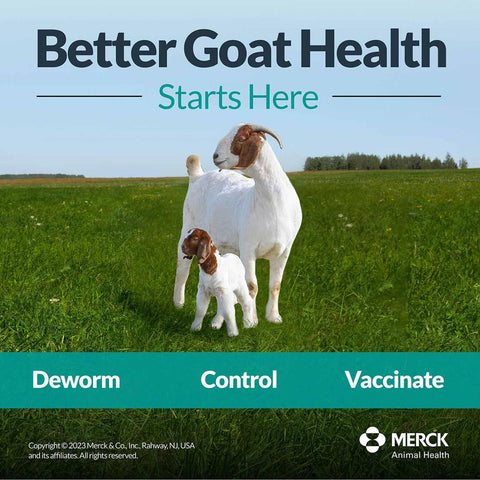 Safe-Guard (Fenbendazole) Dewormer Liquid 125ml