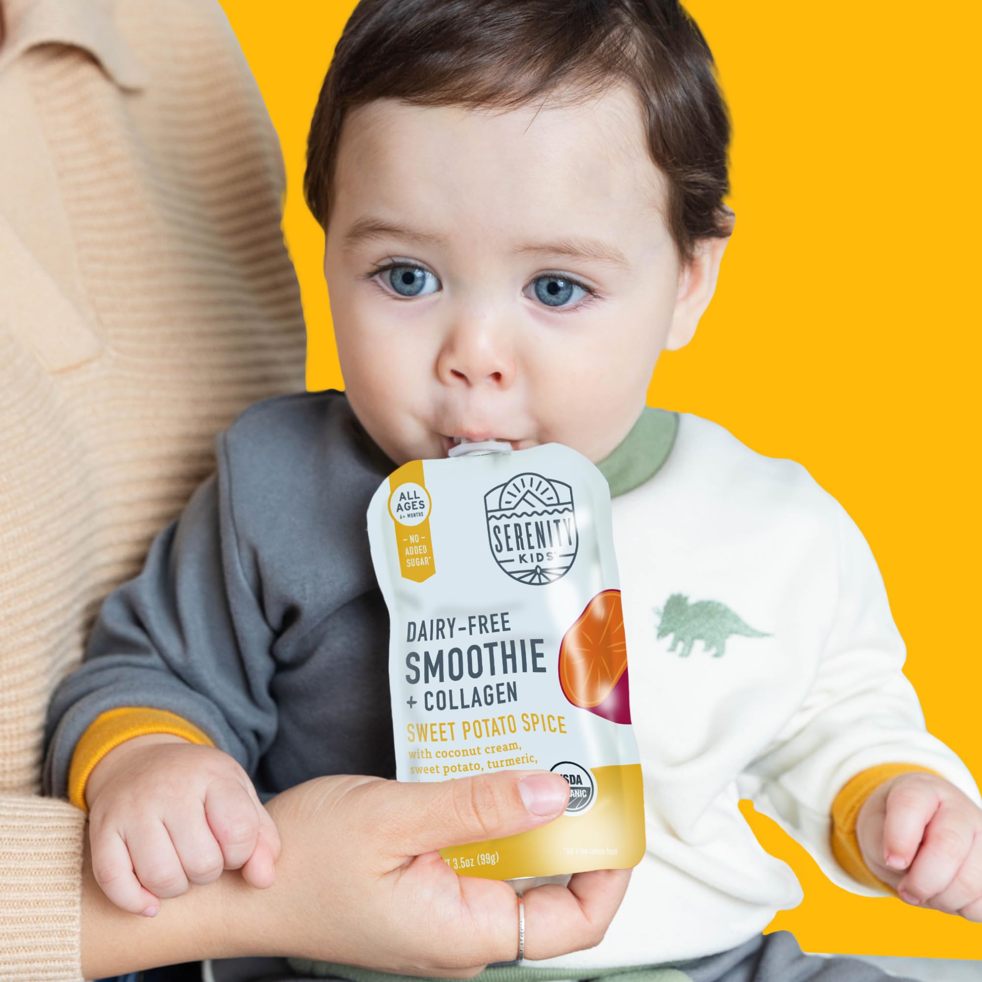Serenity Kids 6+ Months Dairy-Free Smoothie Baby Food Pouch - Protein-Rich Snacks for Kids - Veggie-Packed Breakfast Smoothie - USDA Organic Baby Food - 3.5 Fl Oz - Pack of 1 - Sweet Potato Spice