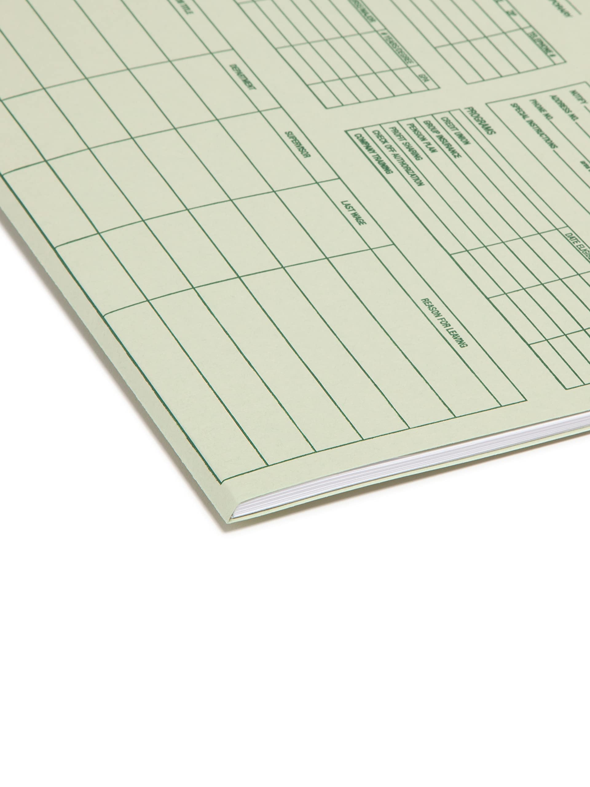 Smead Employee Record File Folder, Straight-Cut Tab, Letter Size, Moss, 20 per Pack (77000)