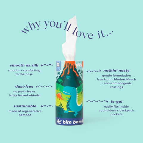Bim Bam Boo 100% Bamboo Facial Tissue Tube, 3-ply Hypoallergenic Travel Tissues in Car Tissue Holder, 1 Eco-Friendly Cylinder Tissue Tube