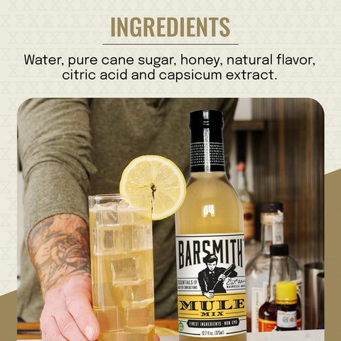 Barsmith Bar Essentials Moscow Mule Honey-Ginger Mix - Refreshing & Uplifting Mixer with No Artificial Flavors or Colors - Cocktail Mix with blend of bite and sweetness - 12.7 oz Bottle (Pack of 1)