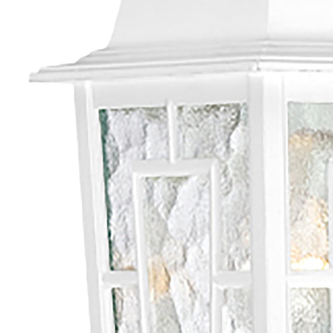 Nuvo Lighting 60/4921 Banyon One Light Wall Lantern/Arm Down 100 Watt A19 Max. Clear Water Glass White Outdoor Fixture