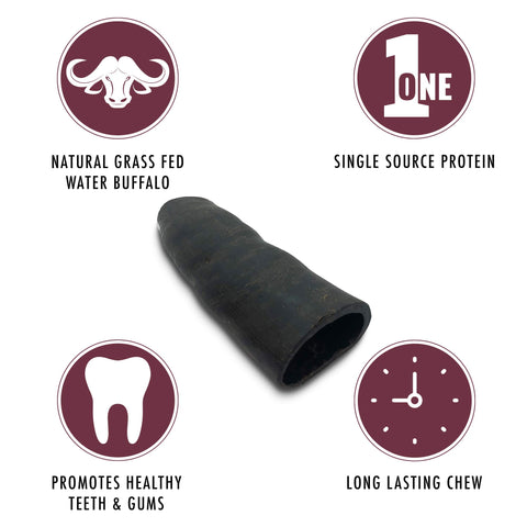 Wild Eats Water Buffalo Tuffie No Hide Dog Bones & Dog Chews All Natural, Single Source Protein, Grain Free Treat, Long Lasting Chews (2 Pack, Large-Tuffie)