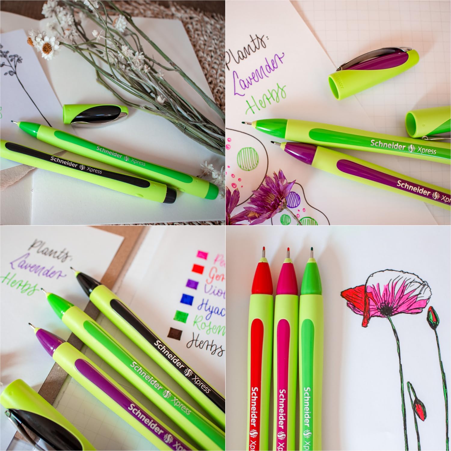 Schneider Xpress Premium Fineliner, 0.8 mm Porous Point, Light Green Barrel, Assorted Ink Colors, Wallet of 6 Pens: Black, Red, Blue, Green, Violet, Pink (190086)