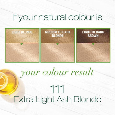 Garnier Nutrisse Nourishing Hair Color Creme, 111 Extra-Light Ash Blonde (White Chocolate) (Packaging May Vary)