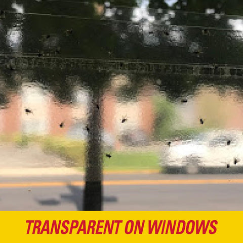 PIC Window Fly Traps (1),FTRP